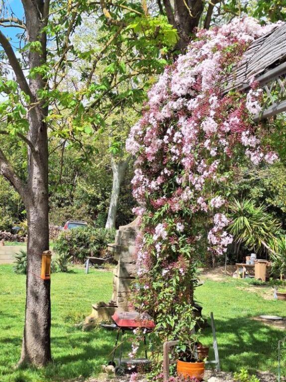 Bed and Breakfast Domaine De Capoulade Narbonne Exterior foto